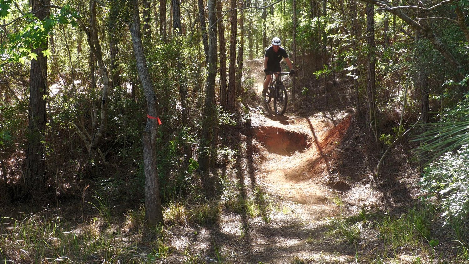 Lucedale plans mountain bike park on 60-acre site