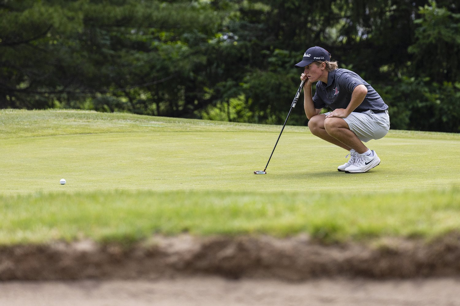 Top high school boys golf teams in Michigan battle for four L.P. state titles