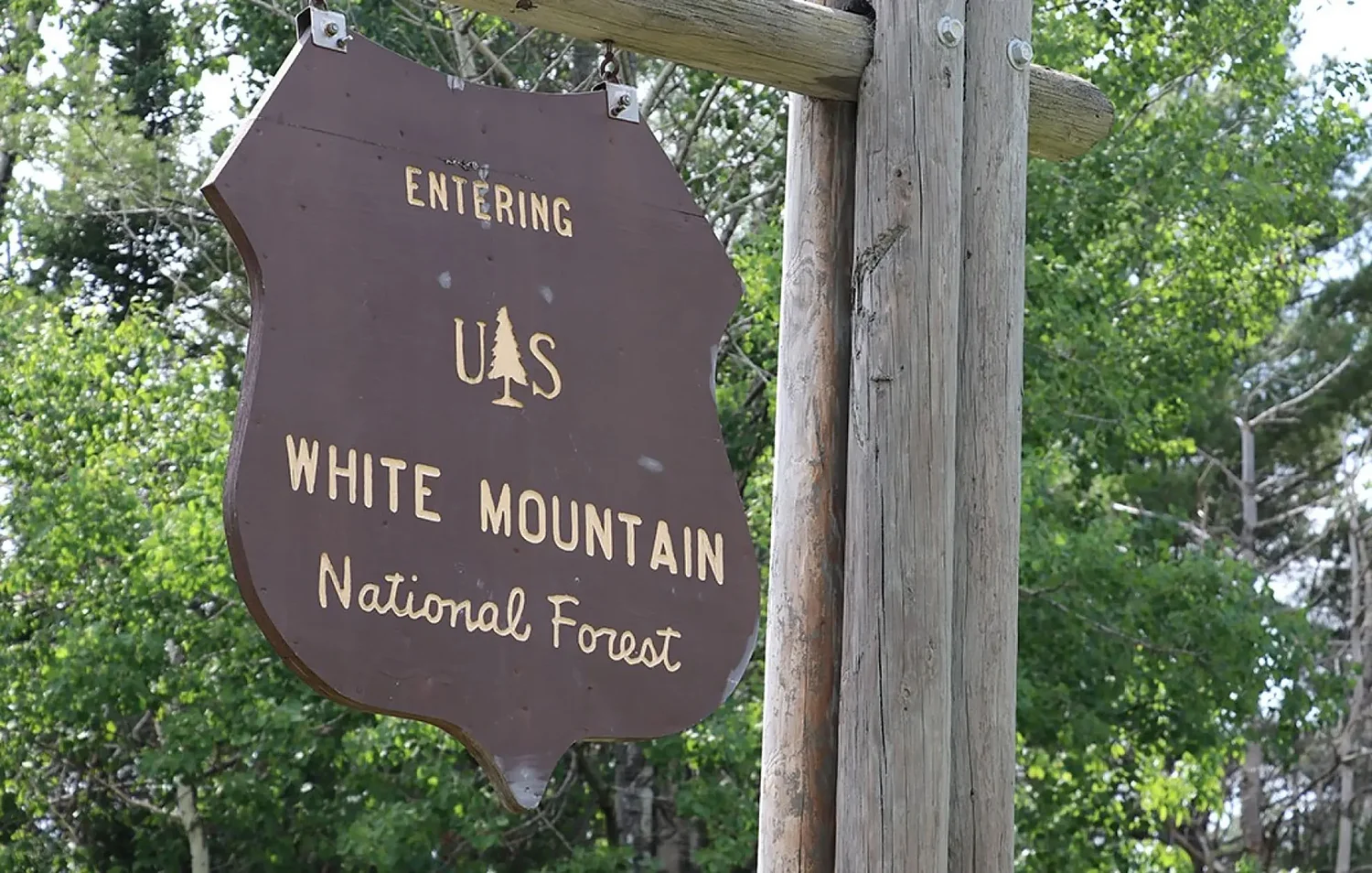White Mountain National Forest closes a stretch of Lincoln Woods Trail for repairs