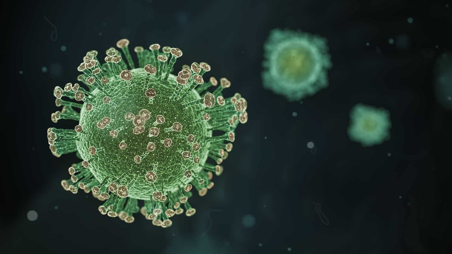 Controversial coronavirus research may have continued even after NIH pulled funding