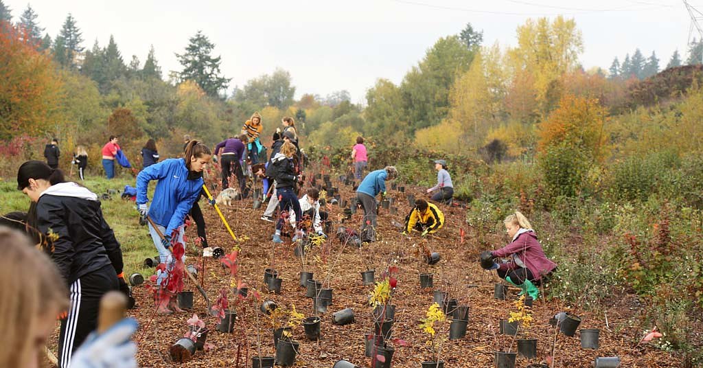 A popular conservation organization is closing its doors