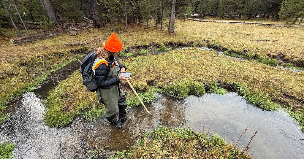 What are beavers up to in the Malheur National Forest? We’re getting answers