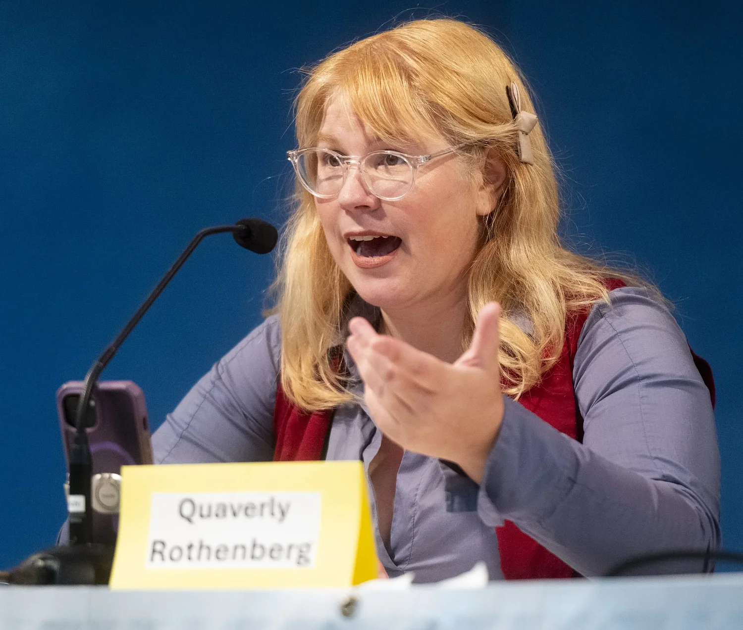 Northampton Ward 3 Councilor Rothenberg sues three councilors, city over censure claims