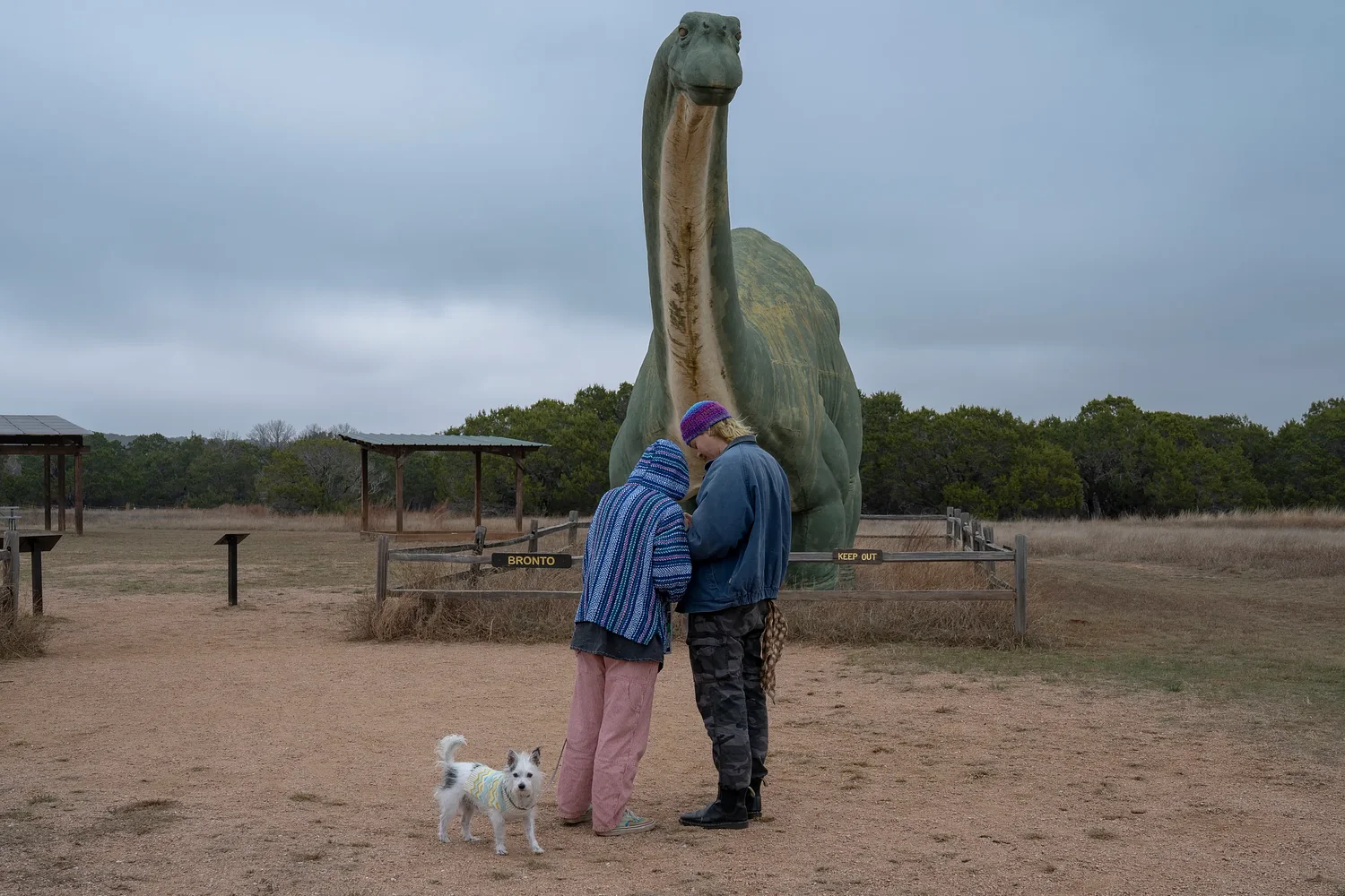 Residents protest high-voltage power lines that could skirt Dinosaur Valley State Park