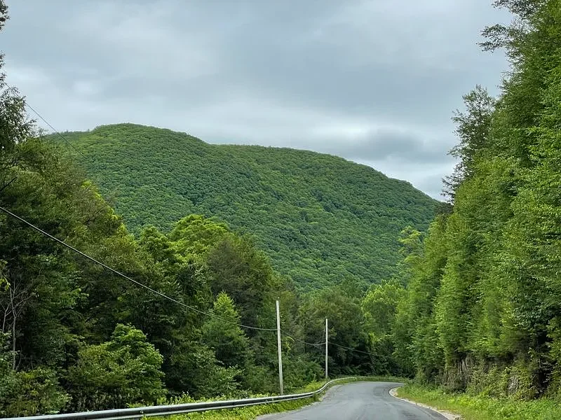 Franklin Land Trust conserves 80 acres in Rowe