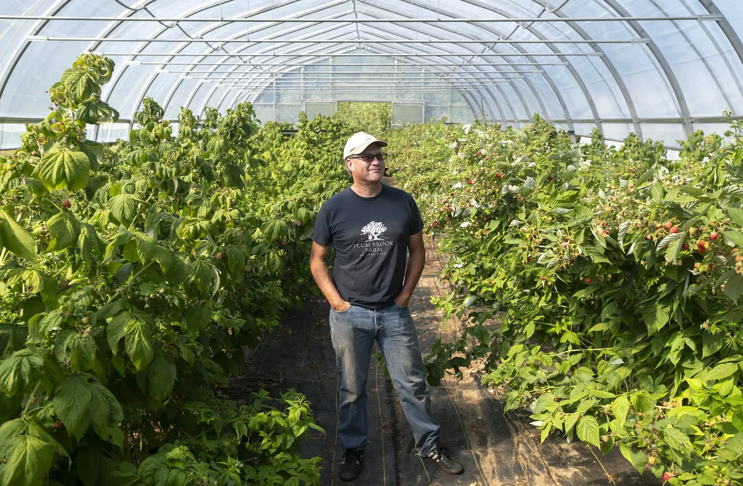 Valley Bounty: ‘It’s just a joy’: Plum Brook Farm preserves farmland and grows delicious fruit