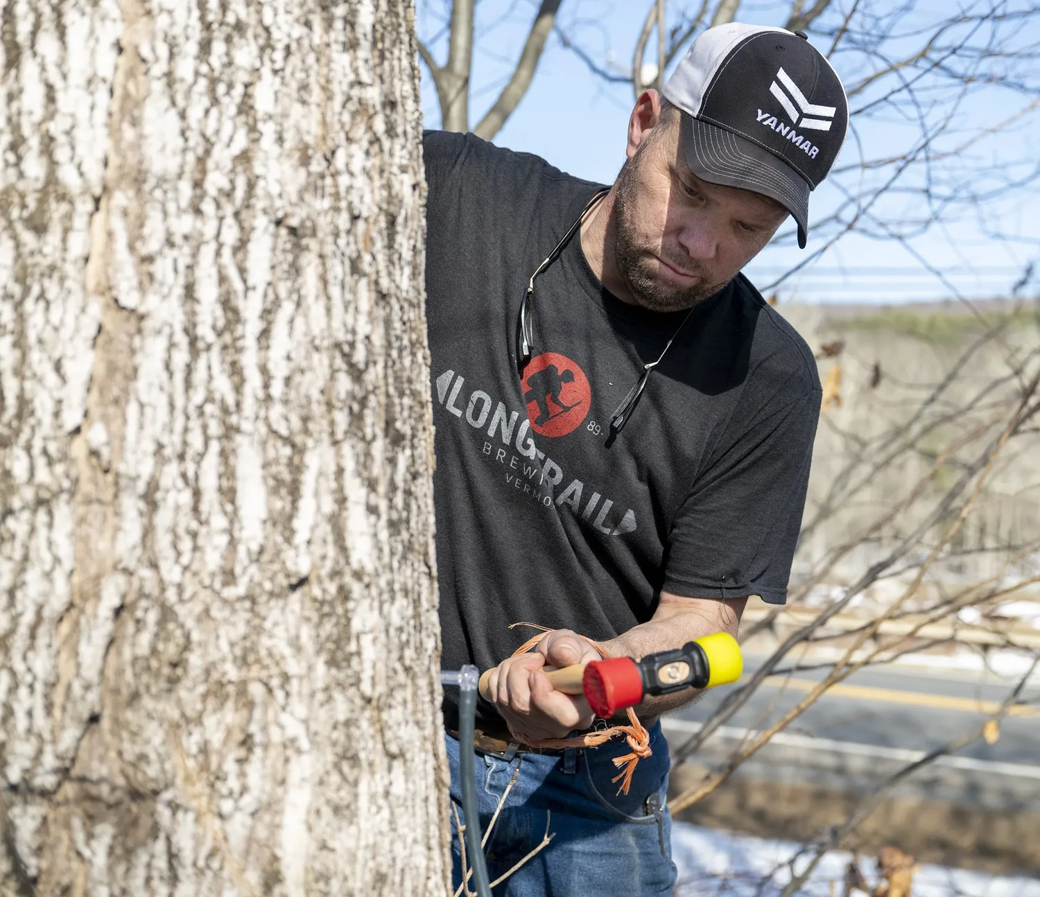 Sugarfest set to turn Belchertown sugarhouse into maple-filled party