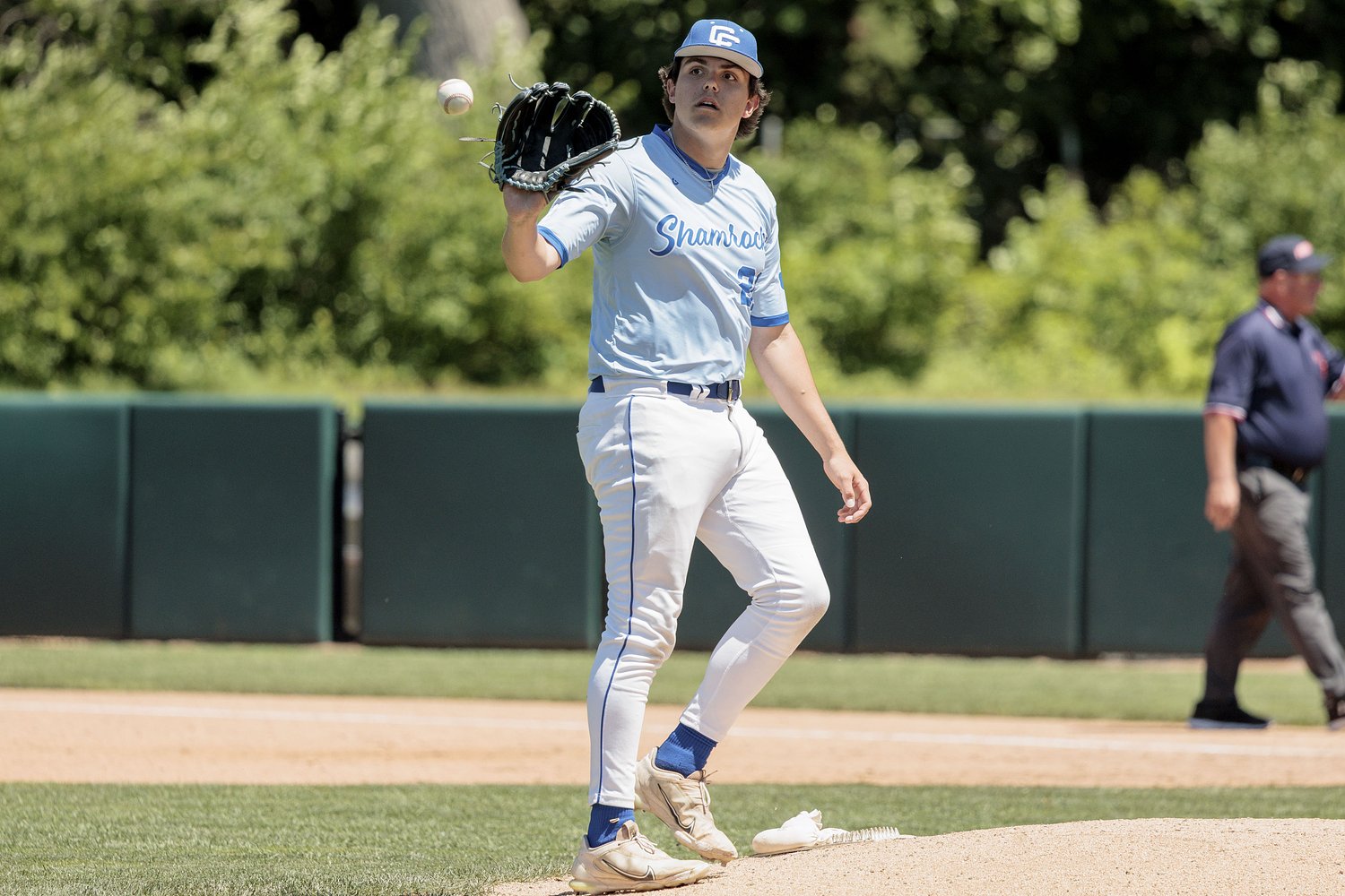 Meet the 2026 Michigan high school baseball coaches All-State team for Division 1
