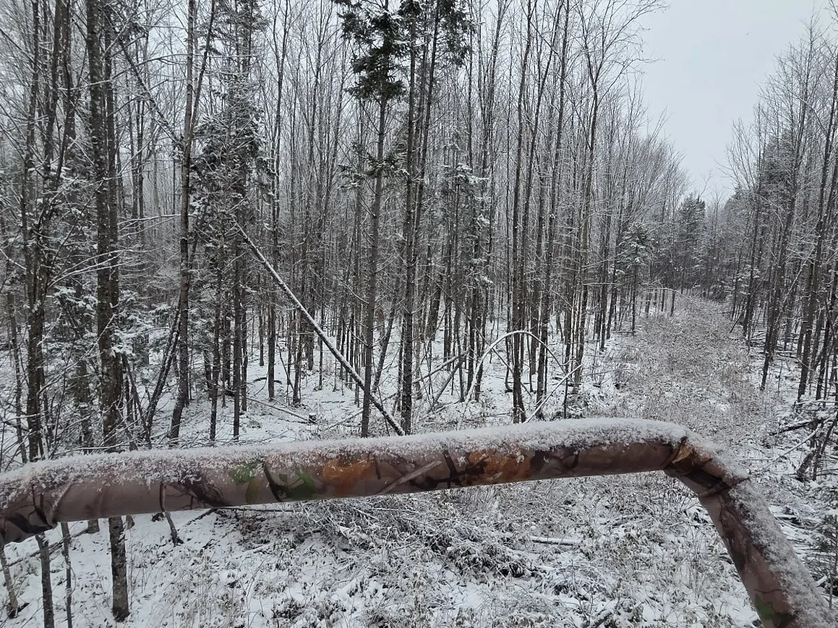 I sat in someone else’s tree stand — and then this happened