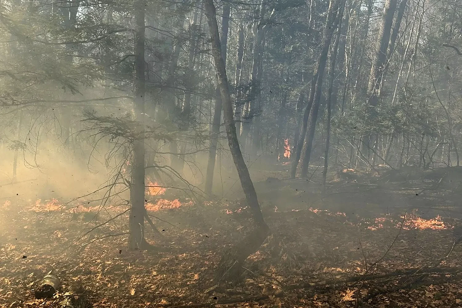 Drought raises the stakes of New Hampshire’s relationship to fire