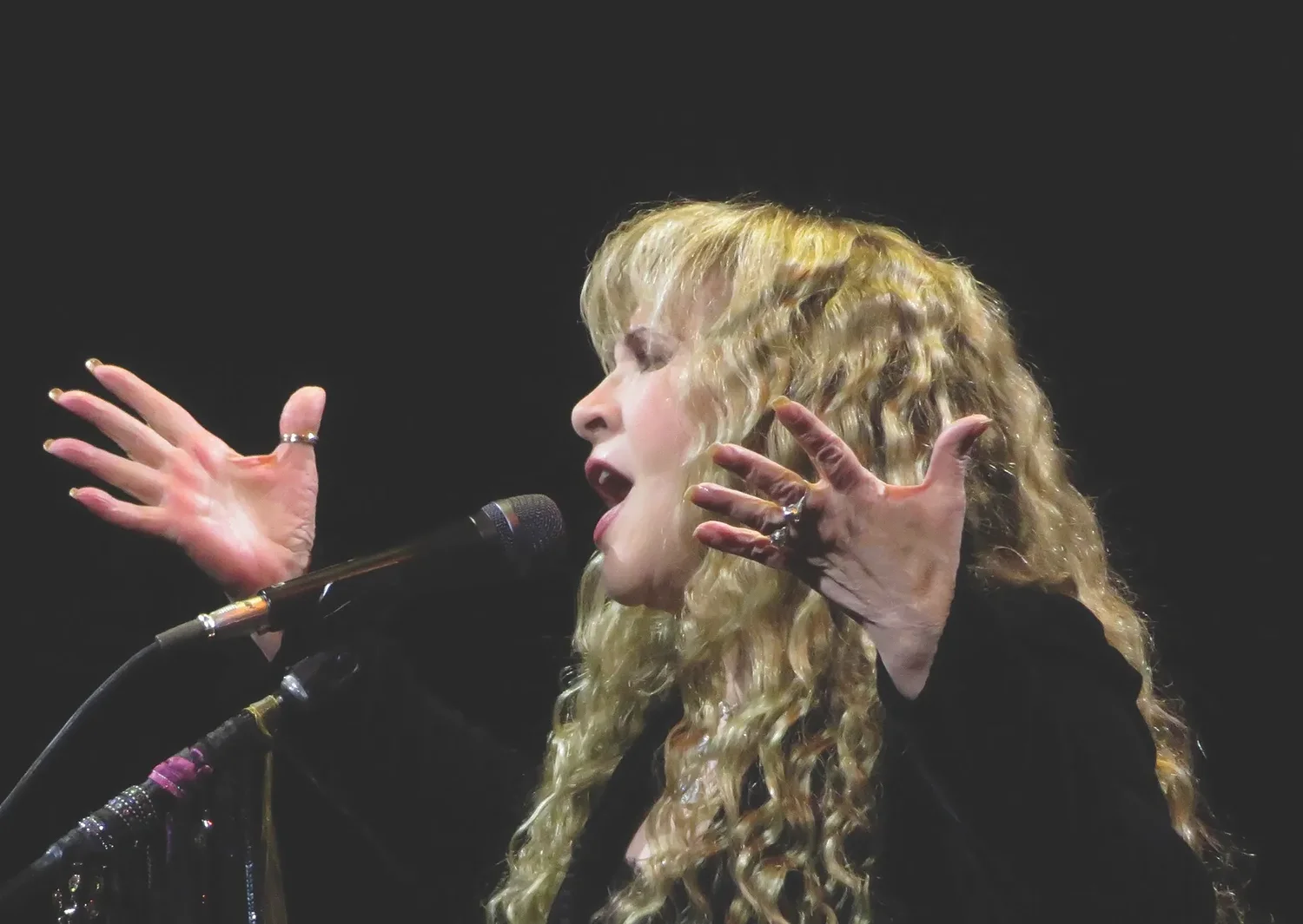 ‘White Winged Doves’ celebrates Stevie Nicks through poetry