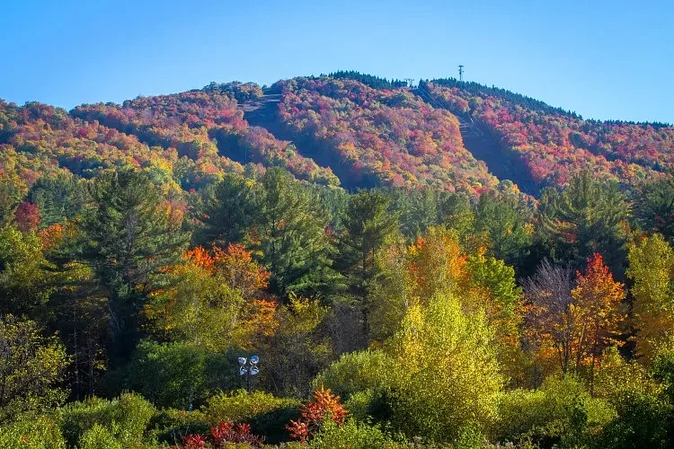 Local investors purchase Ragged Mountain, vow to preserve its character