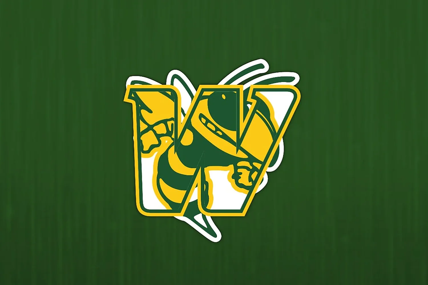 Windsor softball rallies for 9-6 win over Thetford Academy