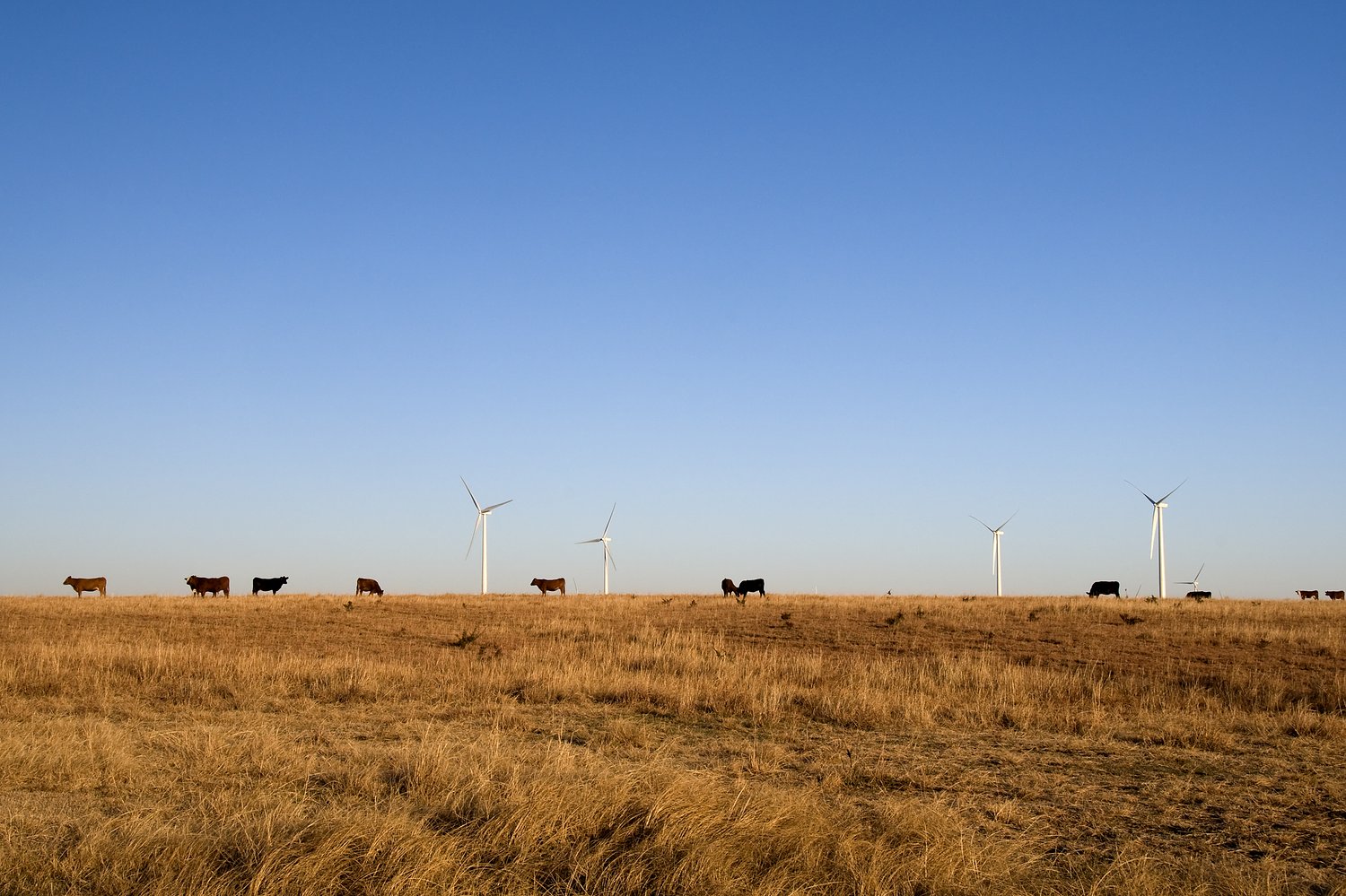 $2.6B Heritage Prairie Renewable project in Kankakee and Livingston counties on schedule