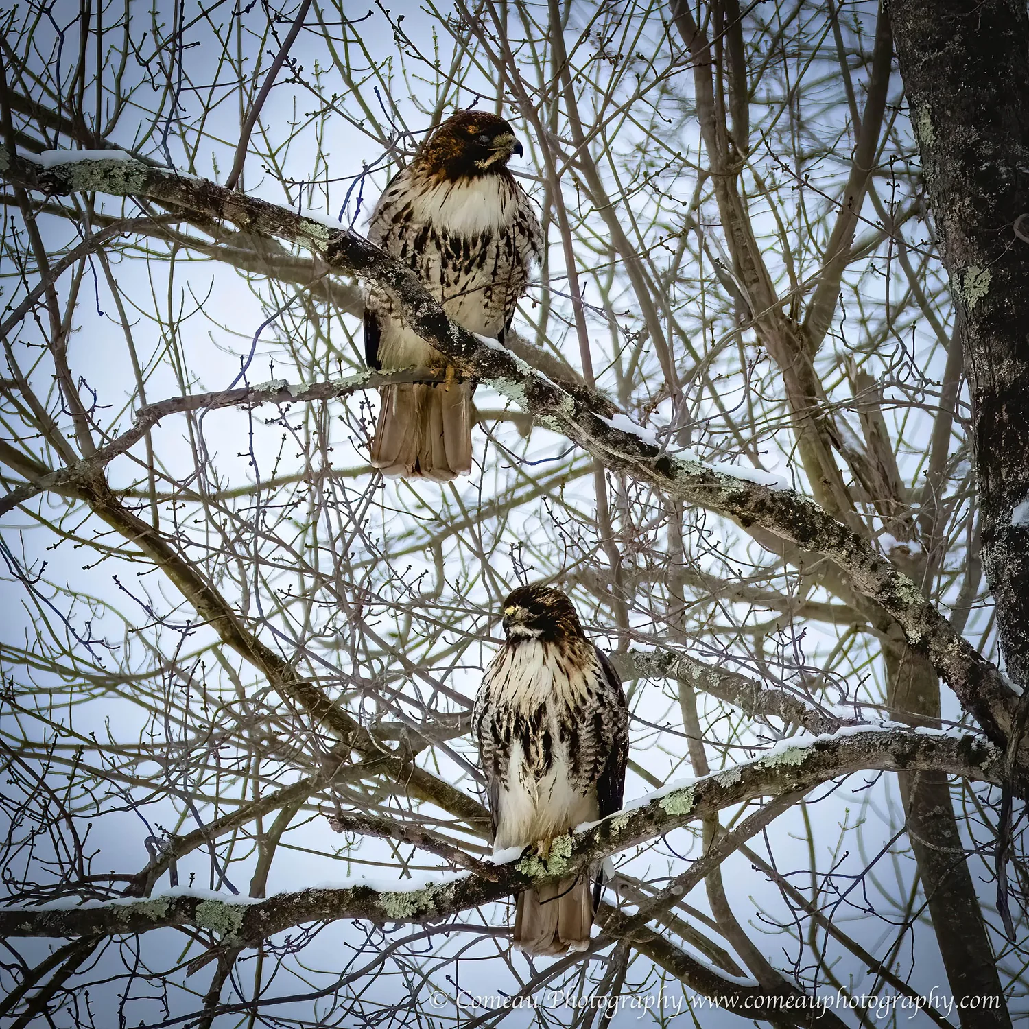 Nature Photo Contest