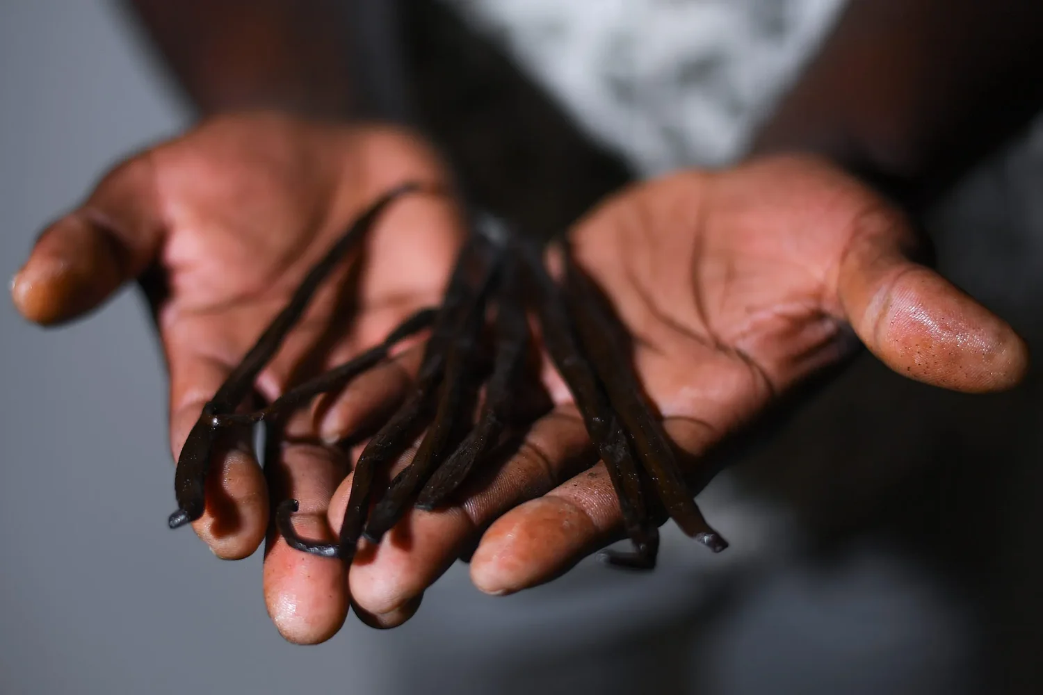 Eugene entrepreneur brings fresh Ugandan vanilla to Oregon 