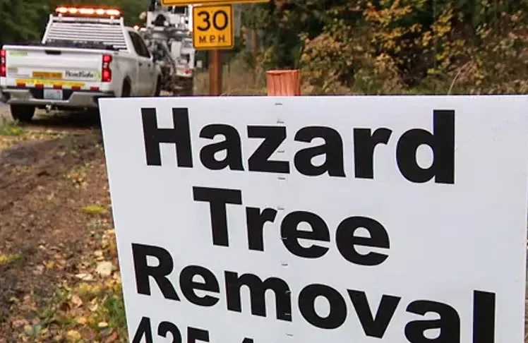 Stormy Weather Causes Power Outages Affecting Nearly 150,000 In Puget Sound Region