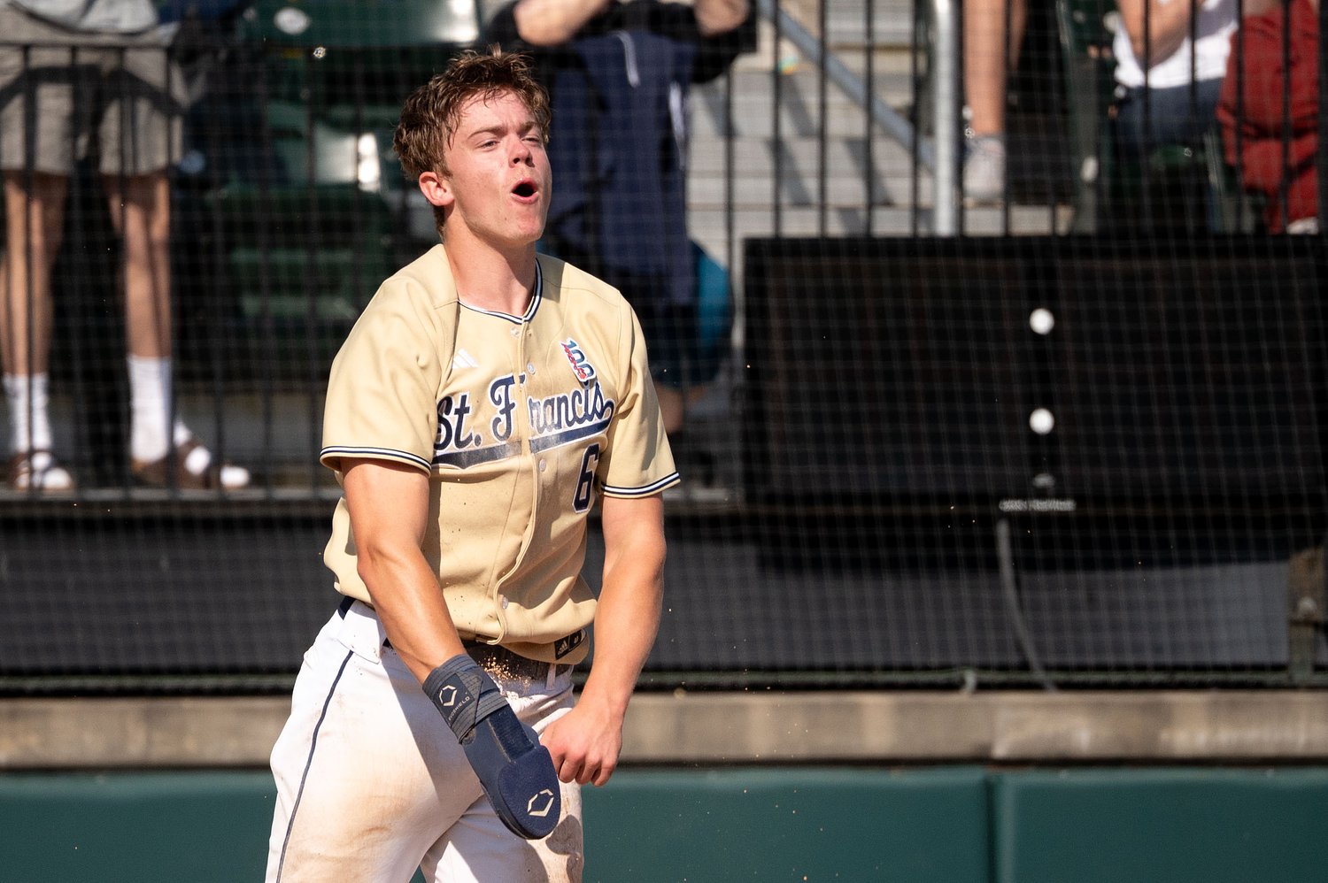 D1 signee blasts defending champ St. Francis into state final, 1 win away from D3 history