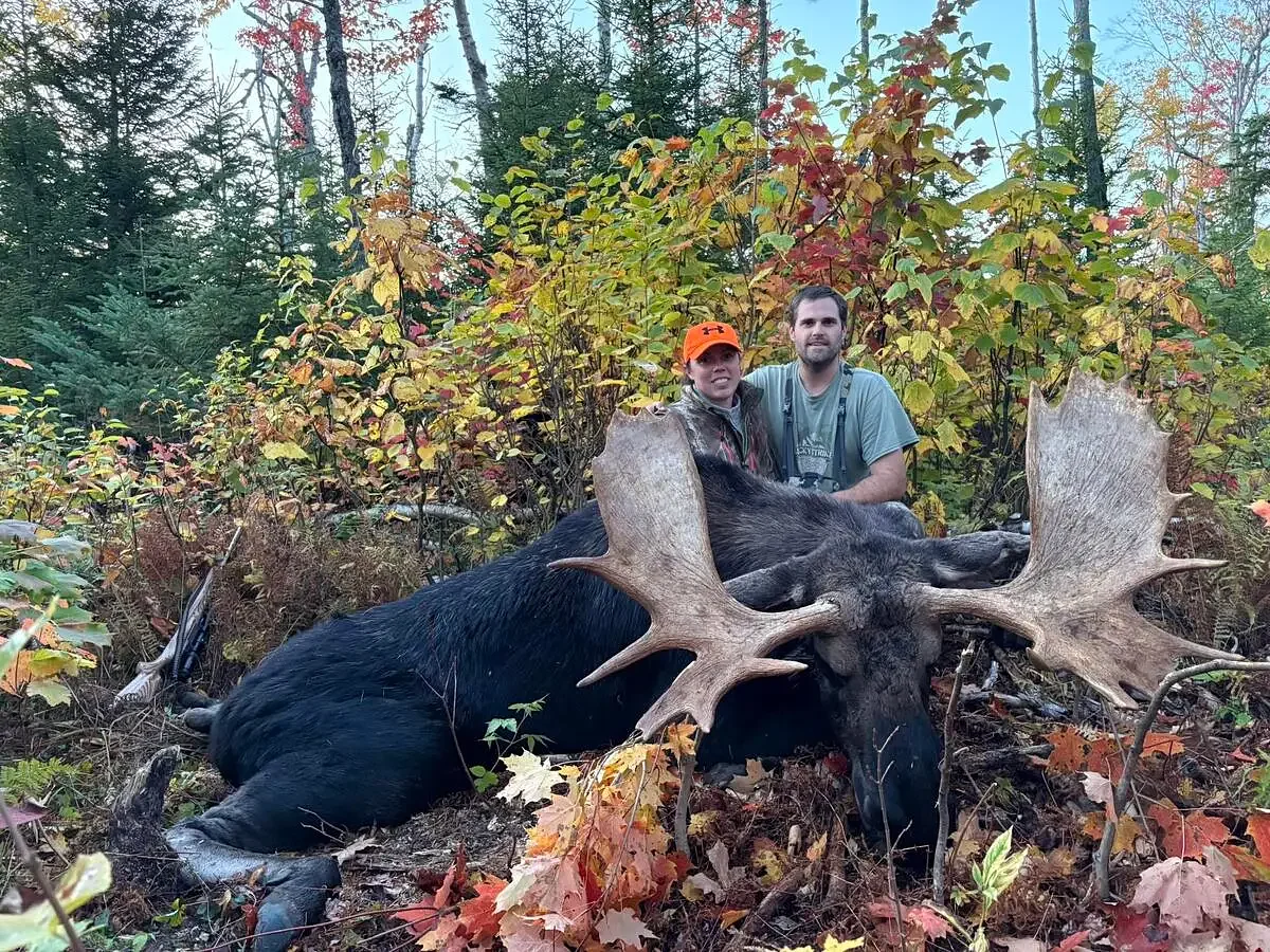 Maine’s 2025 moose harvest report is out. Here are the key takeaways.