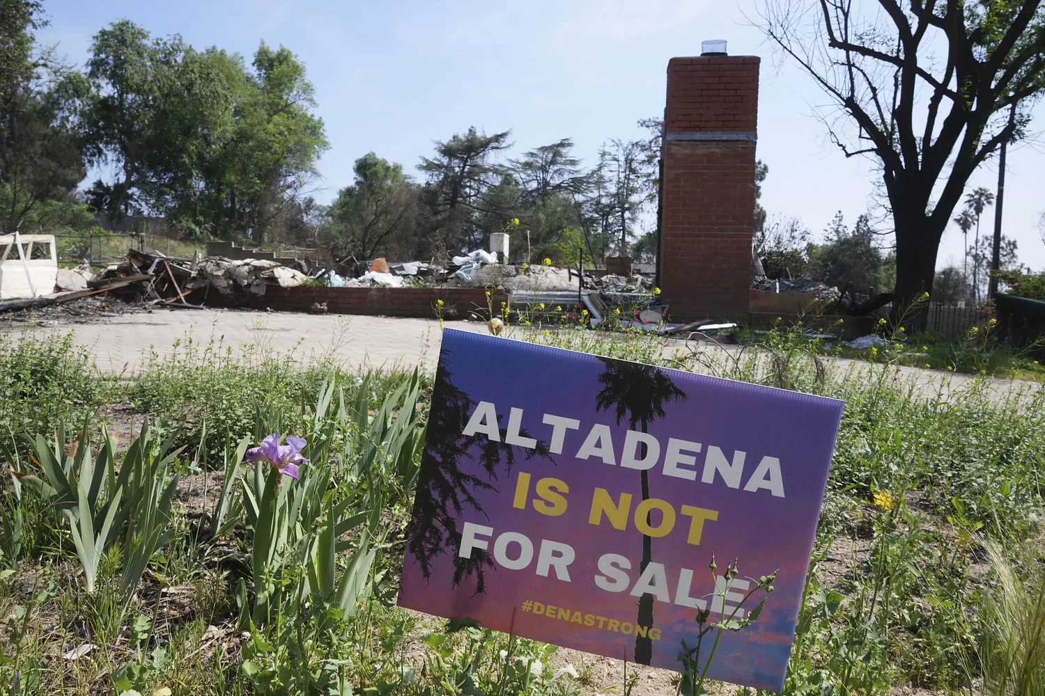The fire is out, scars remain: What Altadena residents want people to know a year after the Eaton Fire