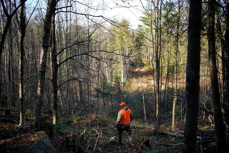 Bulletin Board: Shotgun Deer Hunting results from Days 3, 4