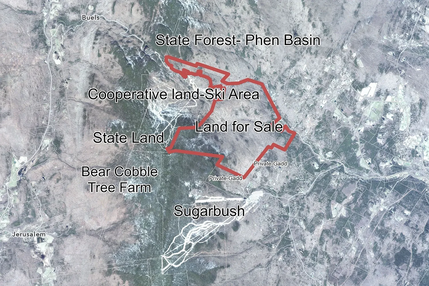 Mad River Glen wants to buy 1,100 acres near resort