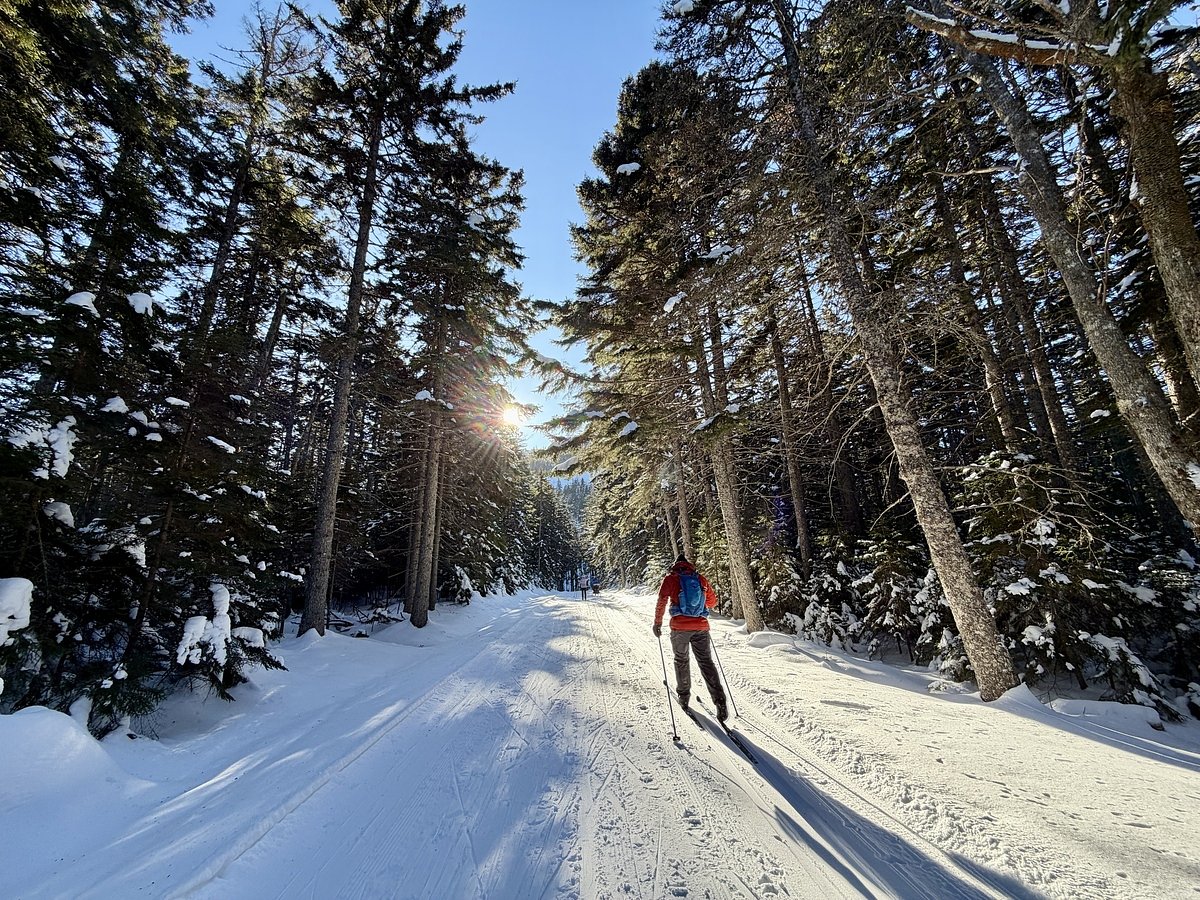 Morning Update: What you need to know in Maine today