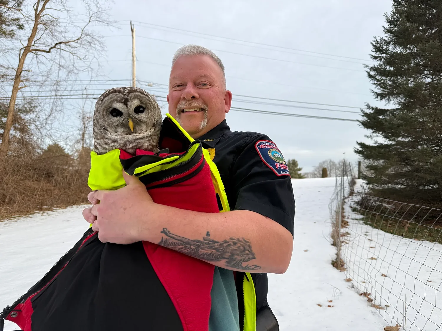Barred owl with broken wing euthanized after Windsor rescue