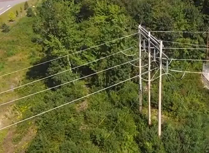 Rates and Rights: Want affordable electricity? Stop the Free Money.