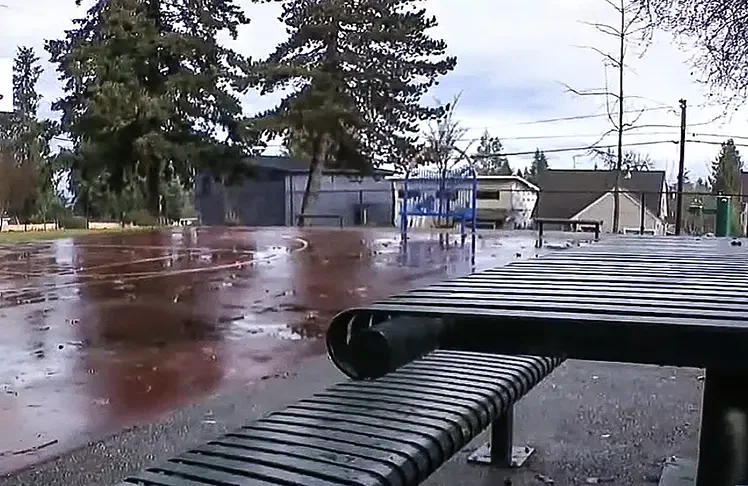 Two Teens Charged As Adults In Violent Stabbing Of 14-Year-Old In Everett Park