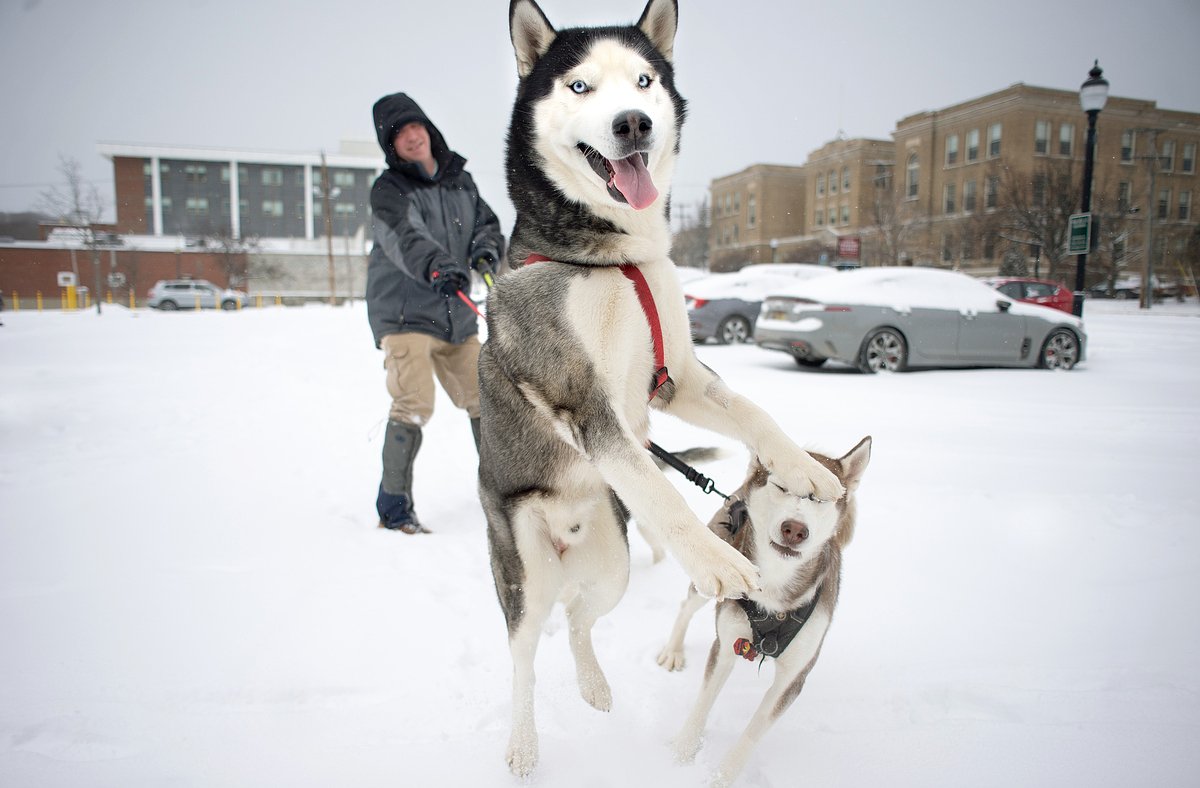 Bangor declares a citywide parking ban for tonight