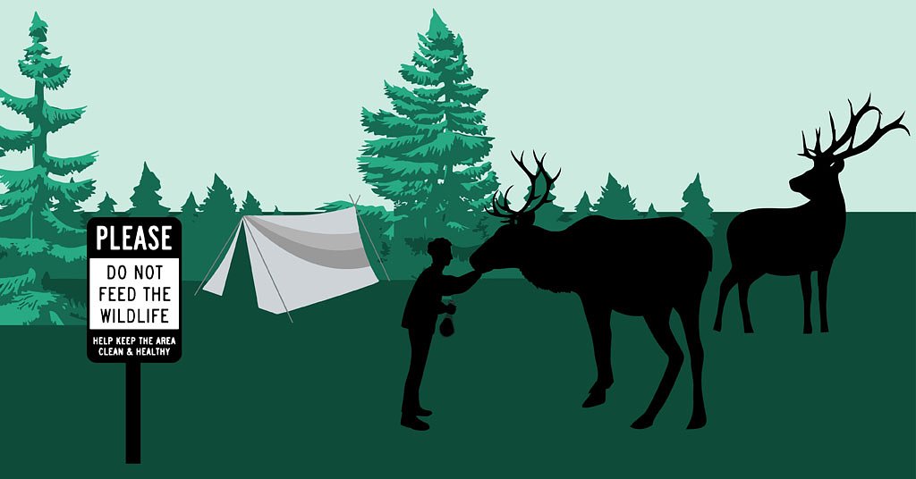 Hunters and ODFW aren’t the only ones to blame for Gearhart elk killings