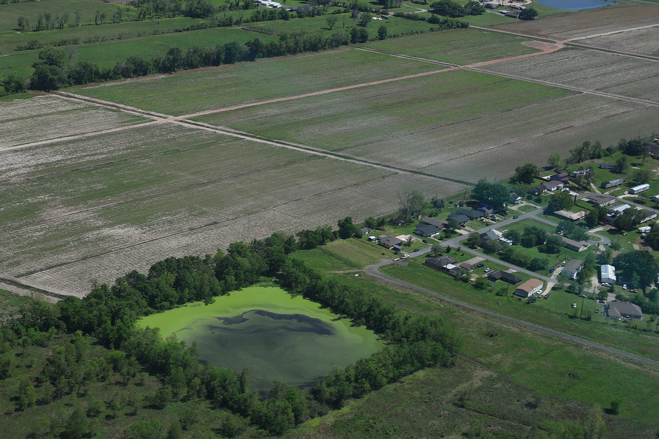 States take cue from feds, roll back wetland protections 