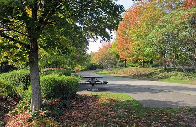 From William Grose To Alice Ball: Seattle’s Parks Tell A Story Of Black Excellence