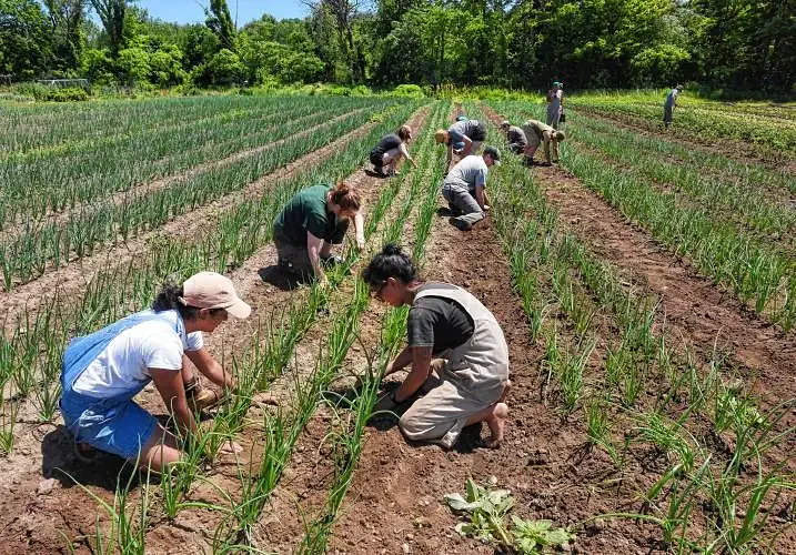 New documentary details impact of climate change on local farmers
