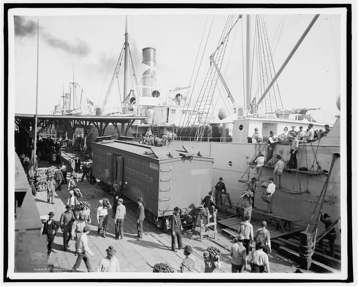 Bond between N.O. and Honduras began with bananas