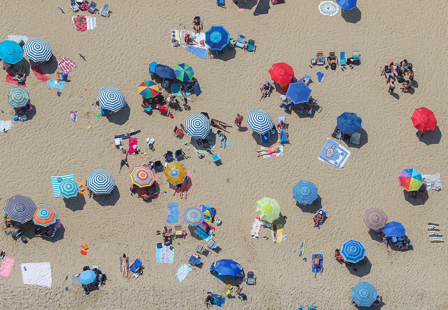 Ocean, bay and river beaches in N.J. under swimming advisories for high fecal bacteria levels