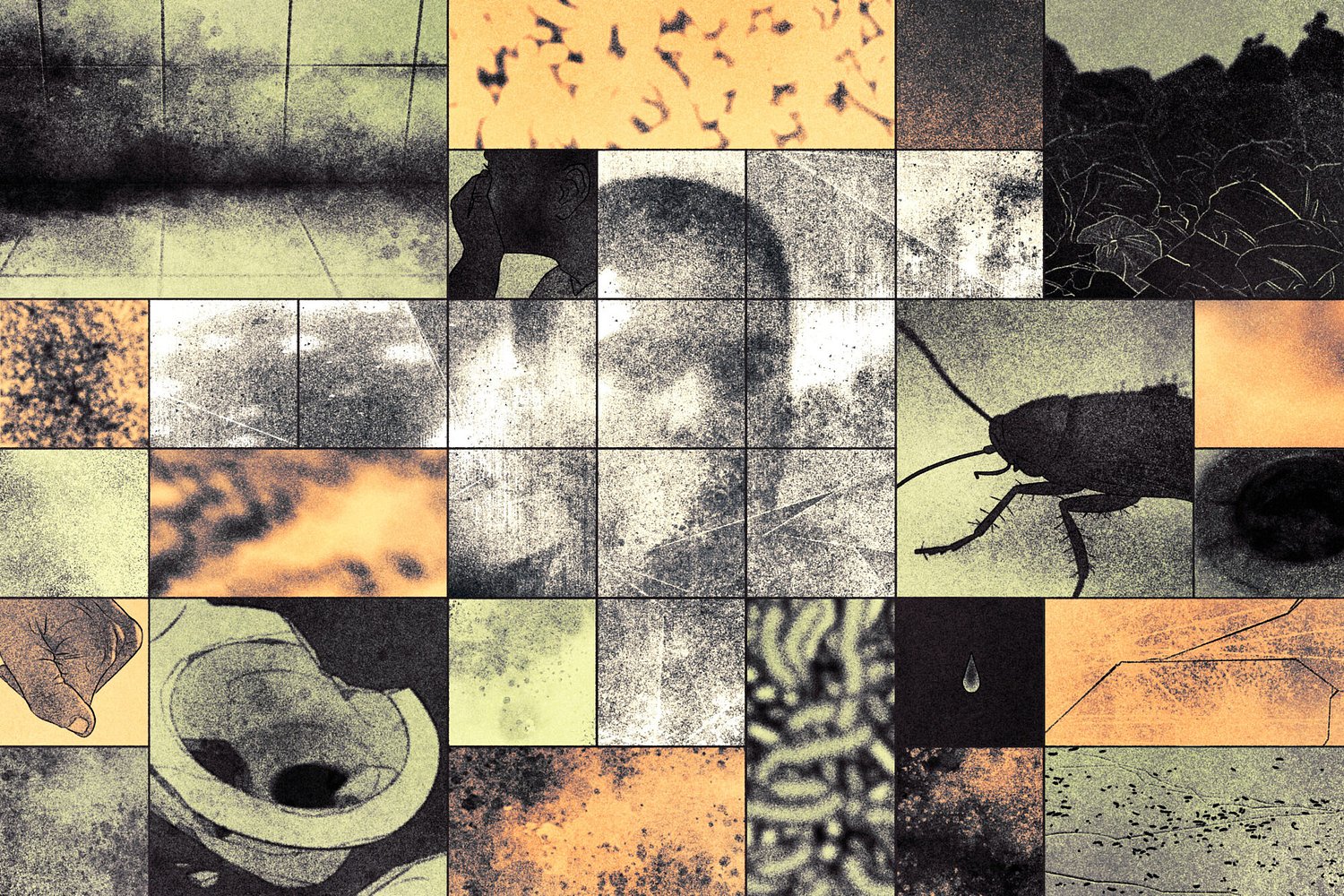 No showers, black mold and clogged toilets: America’s jails are disgusting