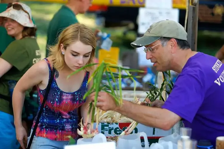 27th annual North Quabbin Garlic & Arts Festival promises garlic galore, focus on sustainability
