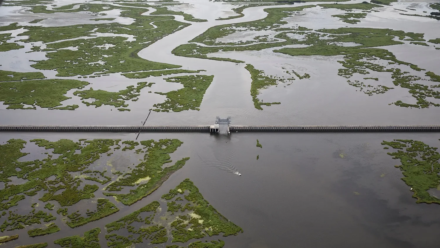 20 years after Katrina, New Orleans’ levees are sinking and short on money