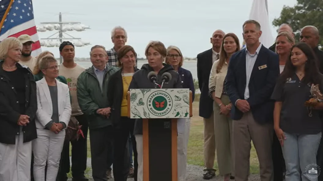 Healey plan would double pace of land protection