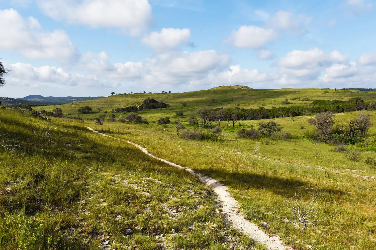 Balcones Canyonlands wildlife refuge, home to endangered songbird, adds more than 600 acres