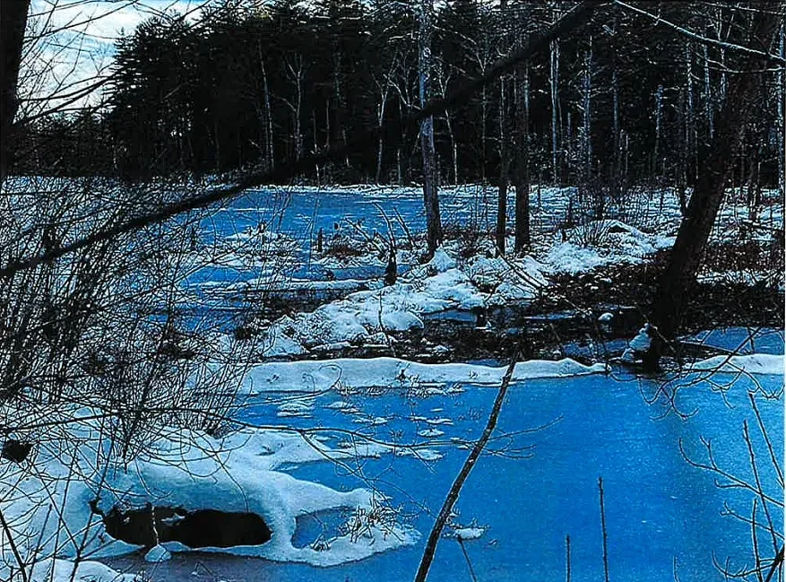 Franklin County Superior Court jury sides with defendant in Orange beaver dam case