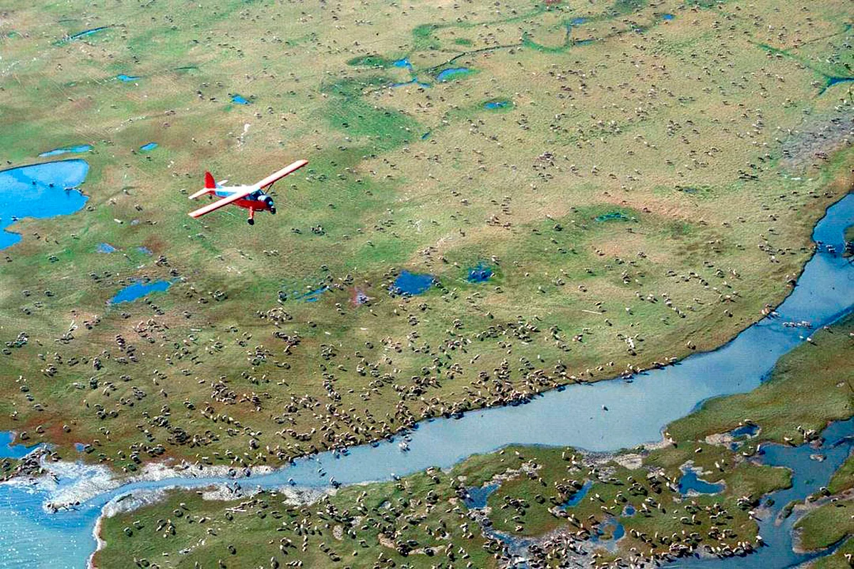 Letter: Protect arctic refuge from drilling