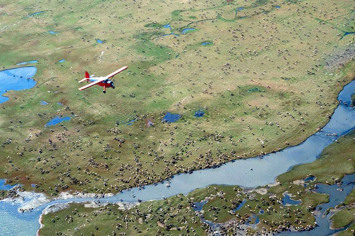 Letter: Protect arctic refuge from drilling