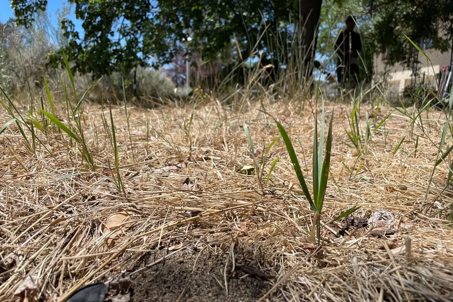 Experts expect NH’s drought to last through the winter