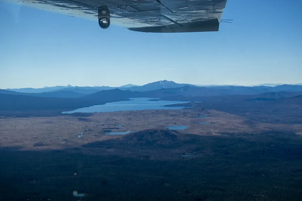 Environmentalists give birds-eye view of forest in push to keep Roadless Rule 