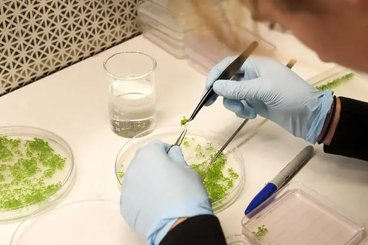 Column: New federal rules threaten scientific research