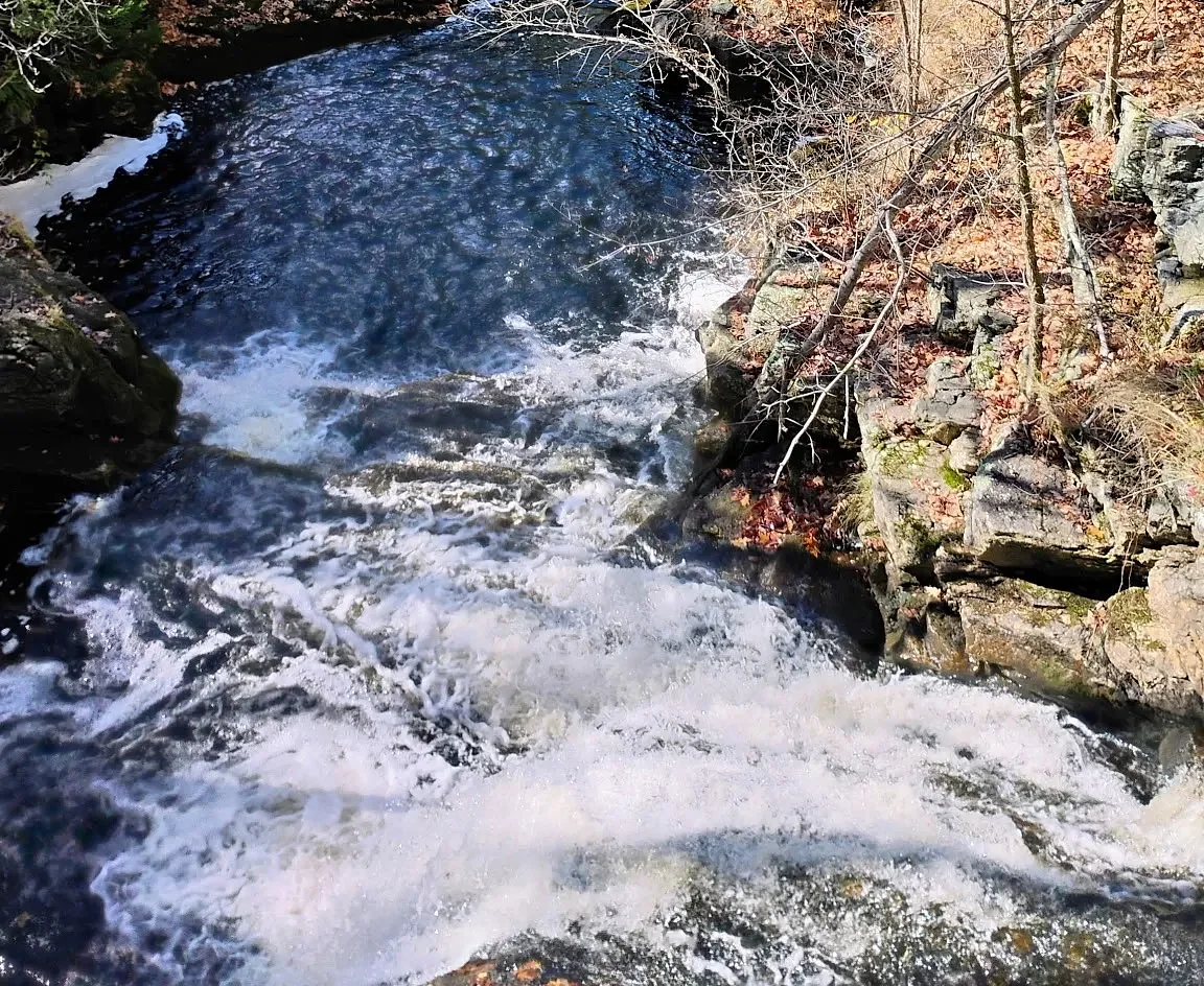 Both sides of the brook