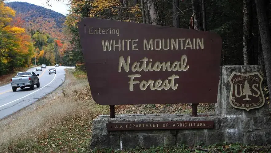 Lawsuit seeking to block WMNF logging is rejected